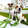 thumbnail image 4 of WAUDOG Nylon Leash with Unique Design | Strong & Special Design Leash for Cute Small, Medium Large Dog | Heavy Duty Dog Leashes for Large Breed Dog & Puppy Leash for Small Boy & Girl Dogs - Red Plaid, 4 of 39