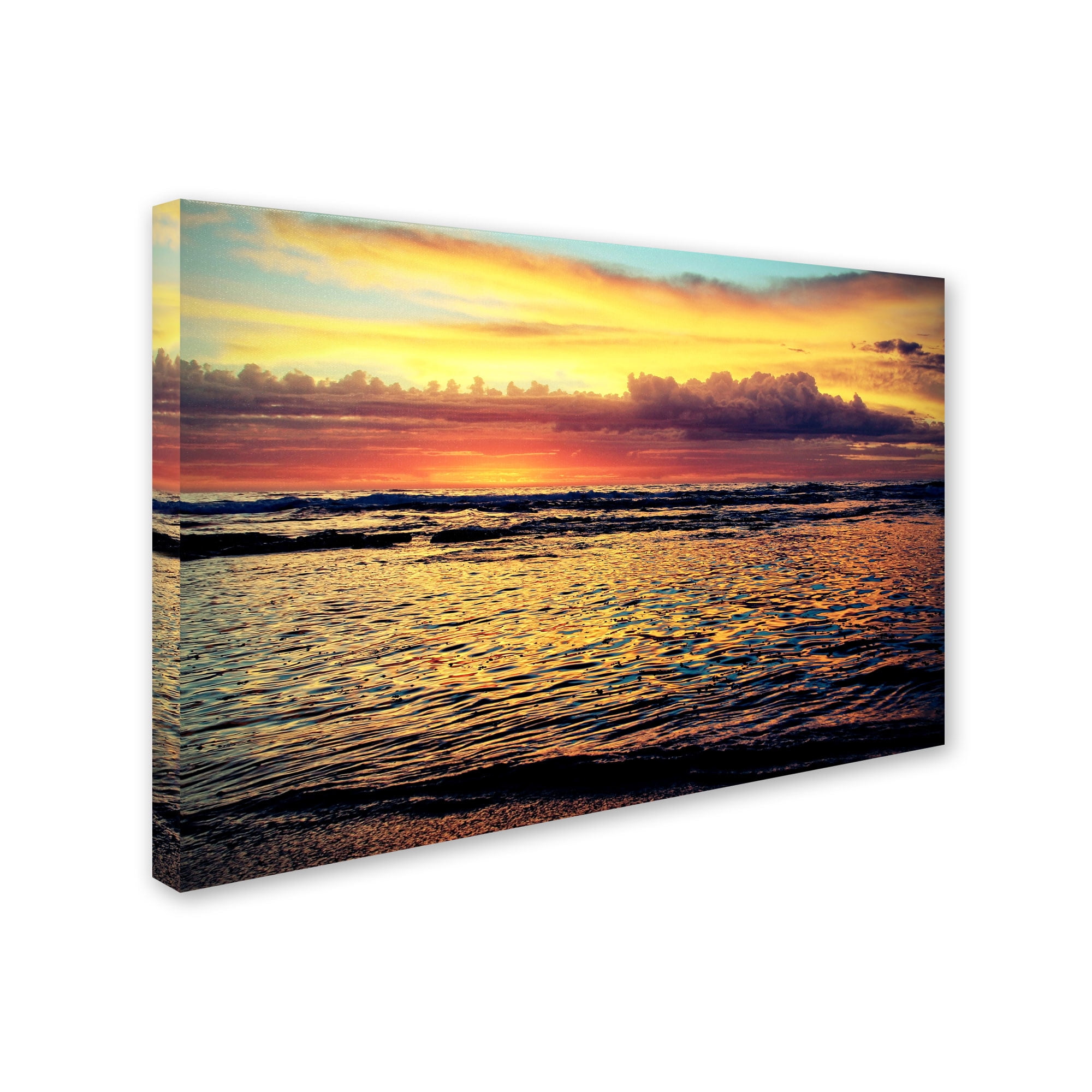Trademark Fine Art "Morning Glory" Canvas Art by Beata Czyzowska Young