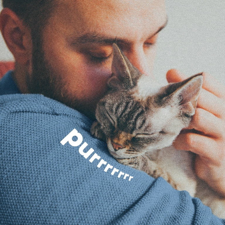 ADAMS Plus Flea Tick Foaming Shampoo Wash for Cats Kittens