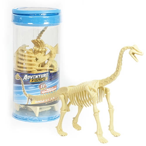 brachiosaurus skeleton model