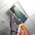 thumbnail image 5 of Octo Lights - Fluorescent Light Covers - 2x4 Flexible Ceiling Light Filters - For Classrooms and Offices - Landscape 001, 5 of 7