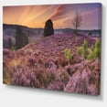 thumbnail image 2 of Blooming Heather at Dawn Panorama - Impression sur Toile Paysage, 2 of 4