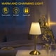 thumbnail image 4 of Lámpara de noche de luz suave de luz de ambiente nórdico recargable para decoración del hogar JShteea  El nuevo, 4 of 9