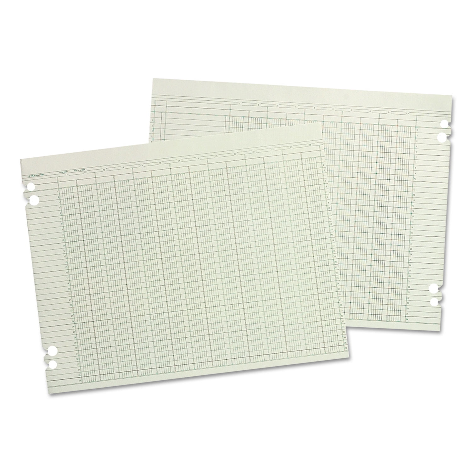 Ledger Sheets For Corporation & Minute Book, White