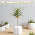thumbnail image 3 of BESTYASH 6Ud Exhibidor Geométrico Metálico Dorado Para Plantas De Aire Con Soporte Estable Para Escritorio, 3 of 7