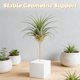 thumbnail image 3 of BESTYASH 6Ud Exhibidor Geométrico Metálico Dorado Para Plantas De Aire Con Soporte Estable Para Escritorio, 3 of 7