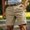 Beige, variant on Versatile Casual Shorts for Spring and Summer in Solid Colors | Easywear Comfort Fit | Breathable Lightweight Everyday Leisurewear for Men