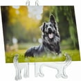 thumbnail image 4 of LAMIRO 24 Pack Acrylic Easel Set,Card Display Stand,Mini Easels for Sports Trading Cards,Baseball,Photos,Collectables (3 in), 4 of 4
