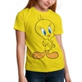thumbnail image 2 of Tweety Bird T-Shirts for Boys Girls, Kids 3D Print Short Sleeve, Unisex Crew Neck Tee Shirts for Youth, 2 of 9