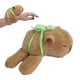 thumbnail image 2 of Capybara Muñeca Clap Circle Huggers Pulsera Caricomunidad para Favoreco La Fiesta Suministro, 2 of 9