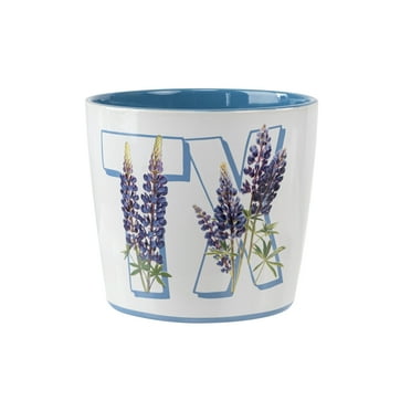 Mainstays 8 inch Texas Bonnet Ceramic Planter