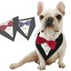 thumbnail image 5 of Collar con lazo para mascotas, bufanda triangular para fiestas, adorable y creativo babero para cachorros (lazo rojo), 5 of 8