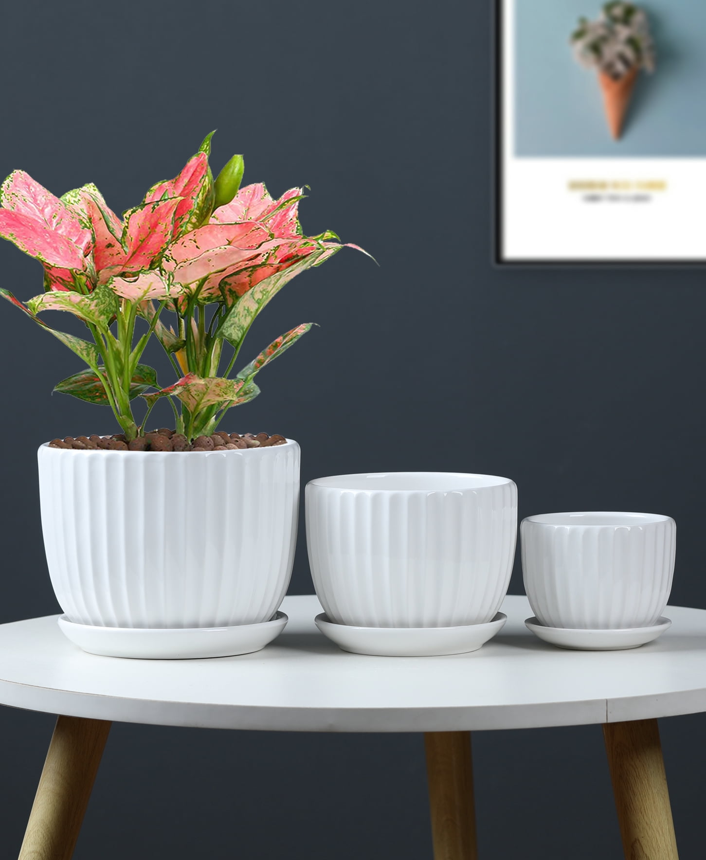 White Plant Pots Set of 3,Indoor Ceramic Flower Pot with Saucers,6.7"&5.5"&3.9" Inch Small to Medium Sized Planters for Plants,Round Modern Garden Pots