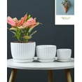thumbnail image 5 of White Plant Pots Set of 3,Indoor Ceramic Flower Pot with Saucers,6.7"&5.5"&3.9" Inch Small to Medium Sized Planters for Plants,Round Modern Garden Pots, 5 of 6