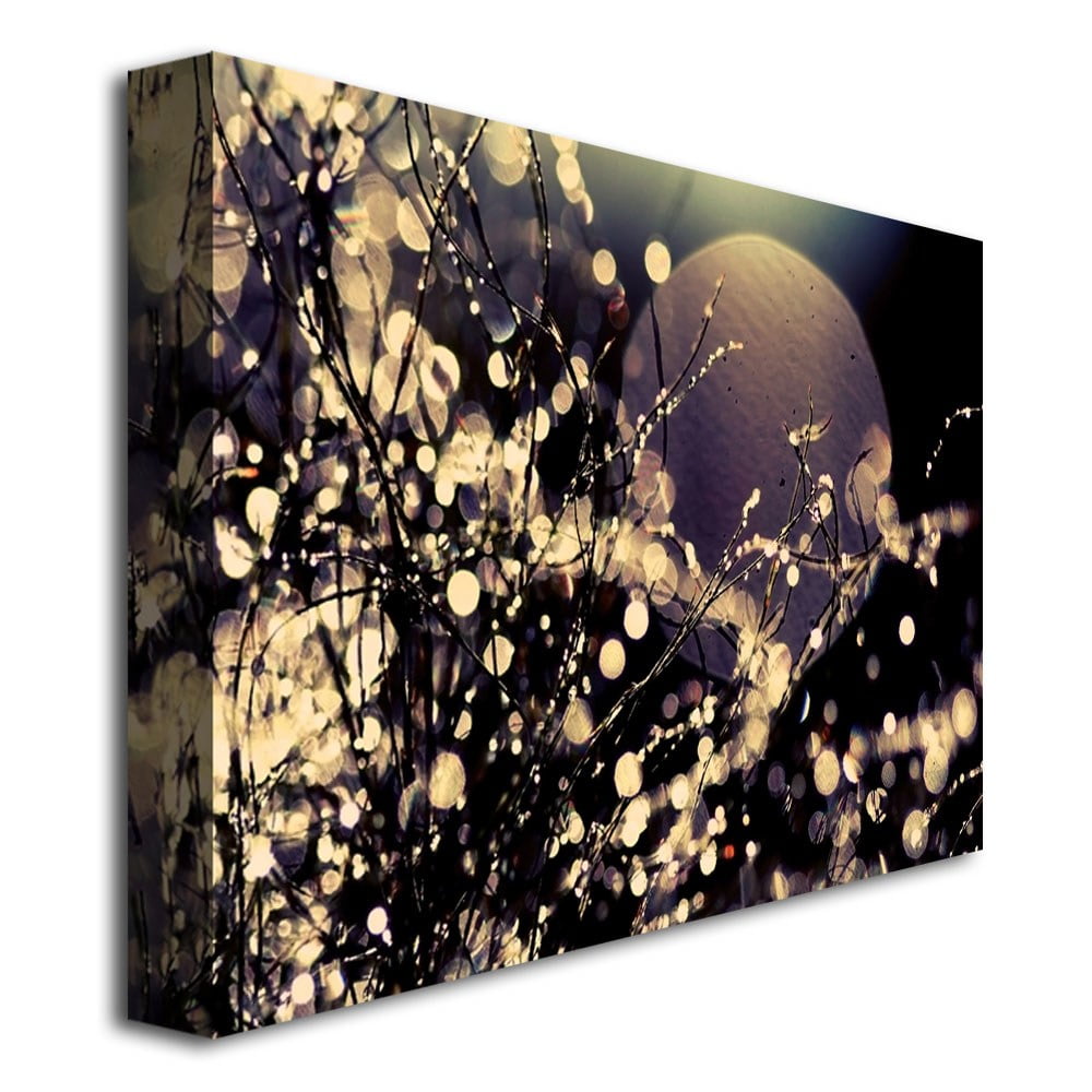 Beata Czyzowska Young 'Moonrise in Fairyland' Canvas Art