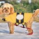 thumbnail image 4 of KAKOWELY Para Perro Con Flotabilidad Mejorada Y Materiales Cómodos Para En Piscina Y, 4 of 8