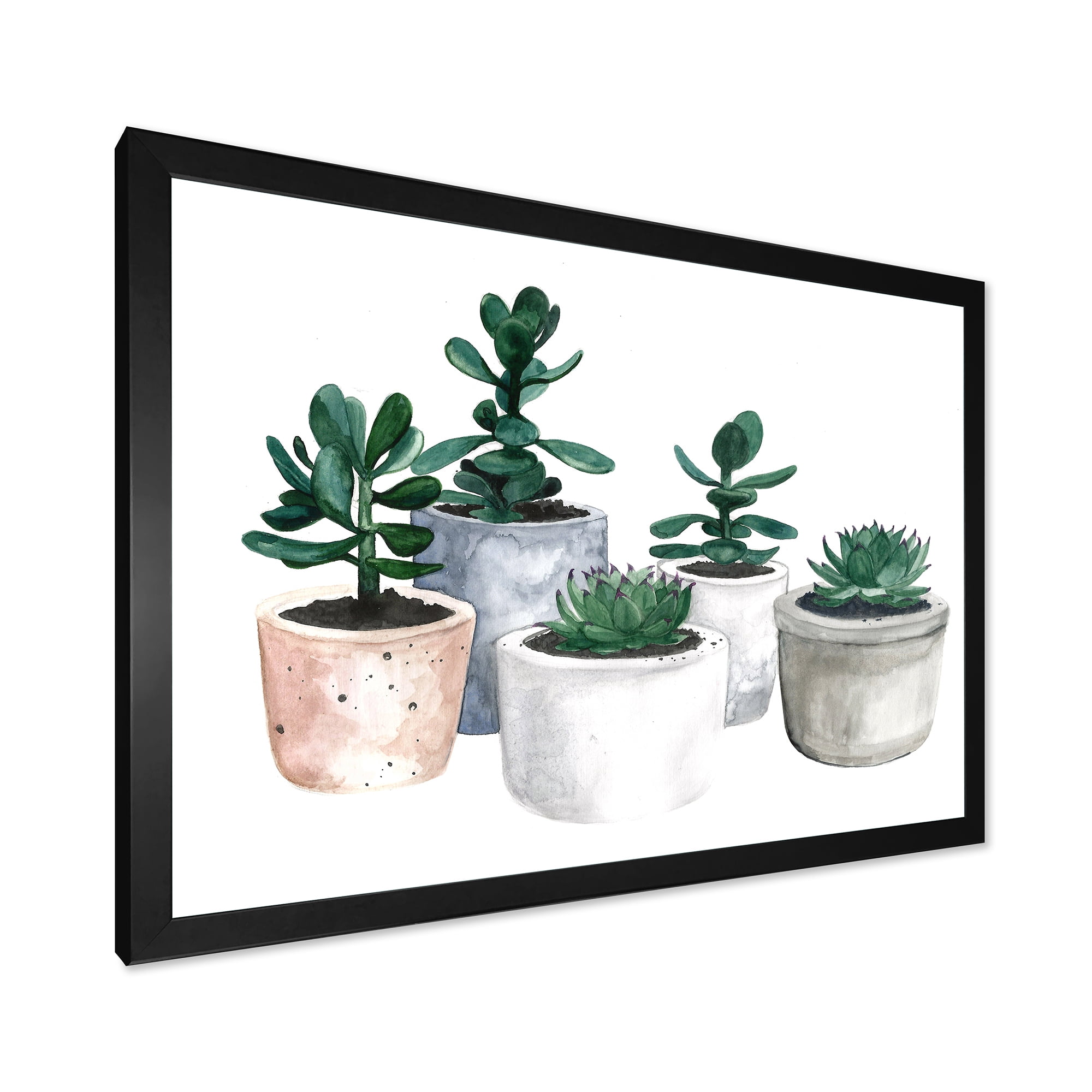 Designart 'Succulent and Cactus House Plants VI' Farmhouse Framed Art Print