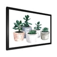 thumbnail image 2 of Designart 'Succulent and Cactus House Plants VI' Farmhouse Framed Art Print, 2 of 4