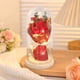 thumbnail image 1 of Lámpara de ambiente con flores preservadas | Miniadorno decorativo LED | Flor eterna iluminada para el hogar, dormitorio, escritorio, regalo | 10 x 20 cm | Decoración festiva para San Valentín y, 1 of 6