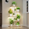 thumbnail image 1 of Soporte para plantas de interior EVAWOO de 44 cm de alto con luces de cultivo de 5 niveles, 1 of 9