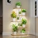 thumbnail image 1 of Soporte para plantas de interior EVAWOO de 44 cm de alto con luces de cultivo de 5 niveles, 1 of 9