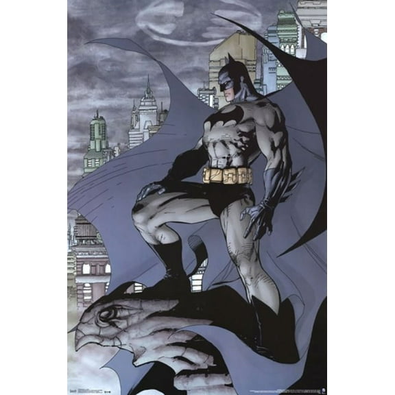 Batman - Cape Poster Print (24 x 36)