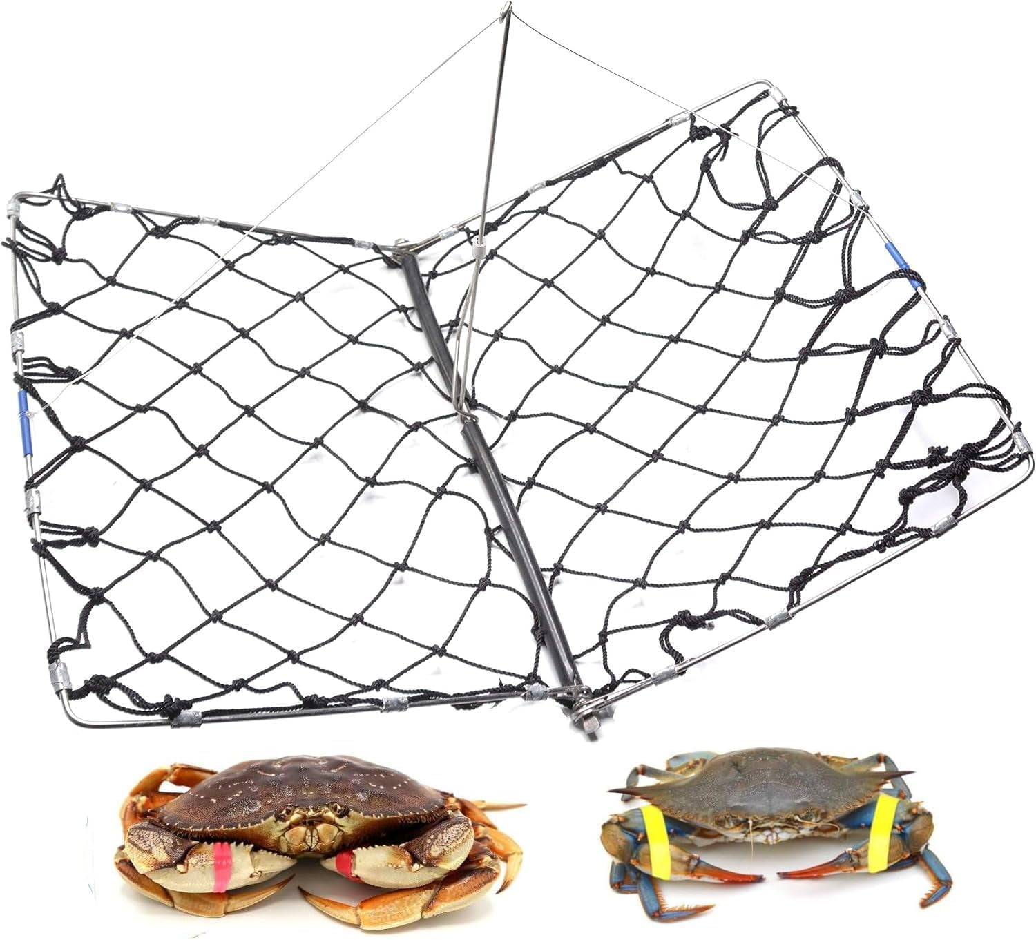 AirFly Foldable Castable Crab Trap - Crab Hawk & Crab Jaw Star Trap with Bait Clip - Portable Fishing Rod Crab Pot for Blue Crabs & Dungeness - Designed in USA (Pack of 2)