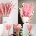 thumbnail image 5 of 15pcs Dried Flowers 17 inch Natural Dried Pampas Grass Reed Plant with Box Real Flowers Romantic Wedding Flower Bulrush Bouquets Flavorful Durable for DIY Home Decor Matching Photography (Pink), 5 of 14