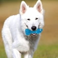 thumbnail image 4 of Dog Molar Plaything Teething Animal Latex Chewing Toy Interactive Dog Toy, 4 of 7