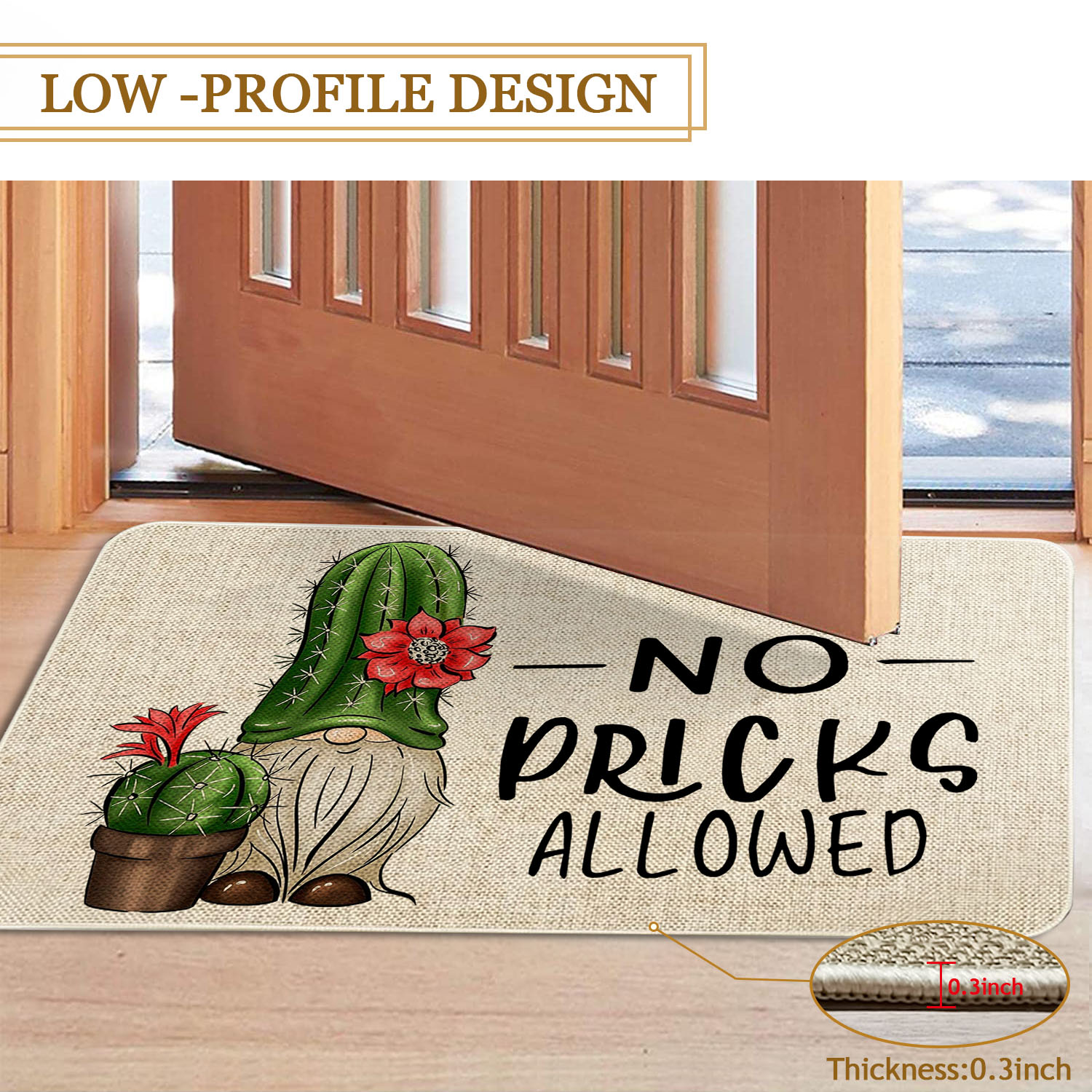 Spring Summer Door Mat 30 X 17 Inch No Picks Allowed Cactus Doormat Indoor Outdoor Entrance Funny Floor Mat Non Slip Summer Decor Rubber Welcome Mats