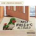 Spring Summer Door Mat 30 X 17 Inch No Picks Allowed Cactus Gnome