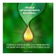 thumbnail image 2 of Aromatizante de ambiente continuo Air Wick citrus punch 2 repuestos de 20 ml c/u, 2 of 4