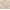 Beige, variant on Jocoku 100% Mulberry Silk Pillowcase for Hair and Skin, 2 Pack Natural Silk Pillowcase Both Sides 16 momme Grade 6A Silk, Soft Breathable Smooth Silk Pillow Cover - Standard, White
