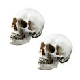thumbnail image 2 of PENGXIANG 2 Pcs Lifesize 1 1 Human Skull Model Replica Resin Anatomical Tracing Teaching Skeleton Halloween Decoration Statue, 2 of 10