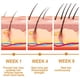thumbnail image 4 of Fiudx Acete Agua de Arroz, Loción Capilar de Consistencia Espesa, Suero Reparador y Suavizante para Cuero Cabelludo, Solución para Cabello Seco Que Controla El Frizz, Uso Diario, Apto Tipo de Cabello, 4 of 7