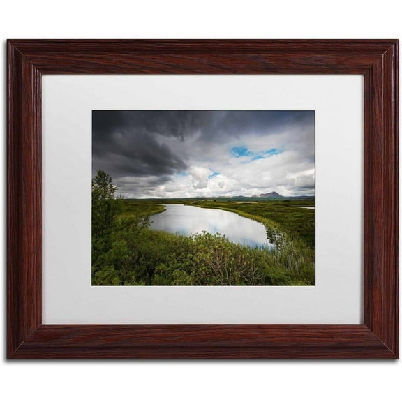 Trademark Fine Art 'After Thoughts' Canvas Art by Philippe Sainte-Laudy, White Matte, Wood Frame