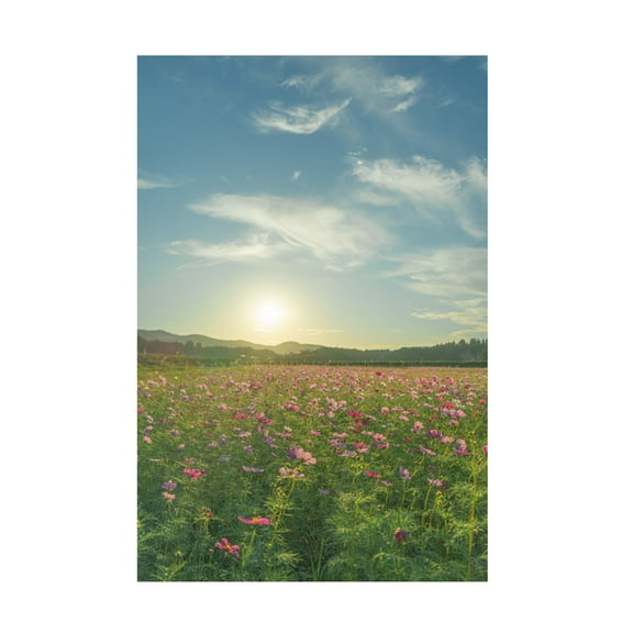 Trademark Fine Art Masahiro Yano Its Like A Dream Canvas Wall Art