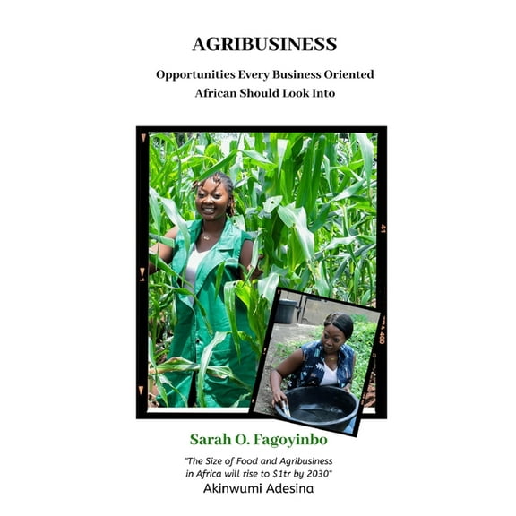 Agribusiness: Opportunities Every Business Oriented African Should Look Into, (Paperback)