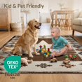 thumbnail image 4 of ODIKA 6'x9' Ultra-Soft Area Rug, Door Vintage Southwestern Distressed Border Lone Farmhouse Plank None Washable, Bare feet friendly, Silk-Touch for Guest Room, Bedroom, 4 of 7