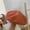 Grapefruit color, variant on Breda Hat Female British Retro Autumn And Winter Day Is Wool Painter Hat Ladies Beilei Hat Versatile Korean Version