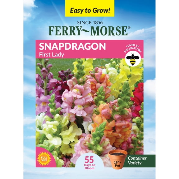 Ferry-Morse 120MG Snapdragon First Lady Annual Flower Seeds, Full Sun