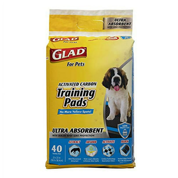 How to stop using puppy pads sales