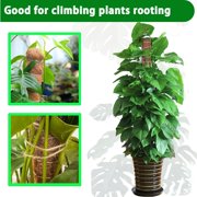 Debonair Moss Pole for Plants - 17 Inches (2 Pack) | Monstera Houseplant Stakes, Moss Poles for Garden, Coir Totem Sticks