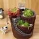 thumbnail image 2 of For Hanging Garden Potted Microlandscape Meat Plant Pots, 2 of 5