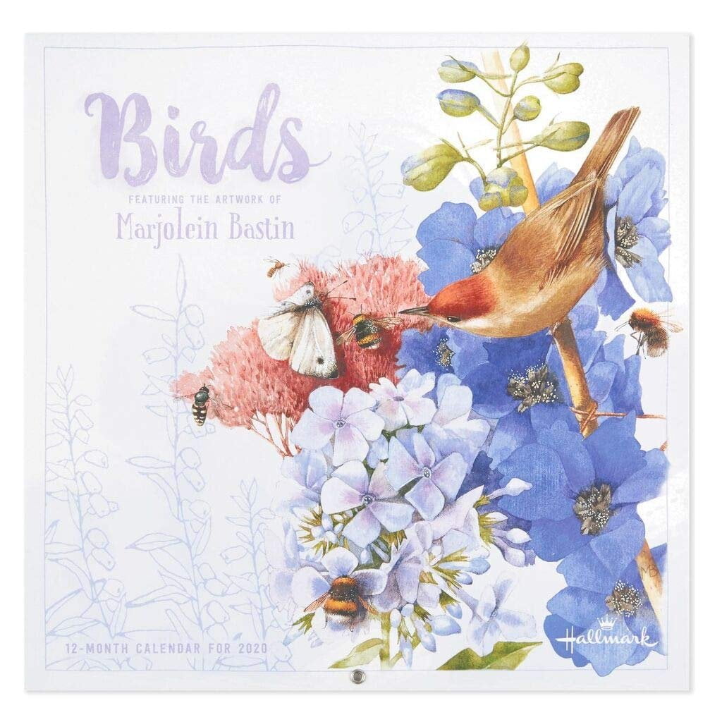 Marjolein Bastin 2023 Calendar Marjolein Bastin Birds 2020 Wall Calendar - Walmart.com