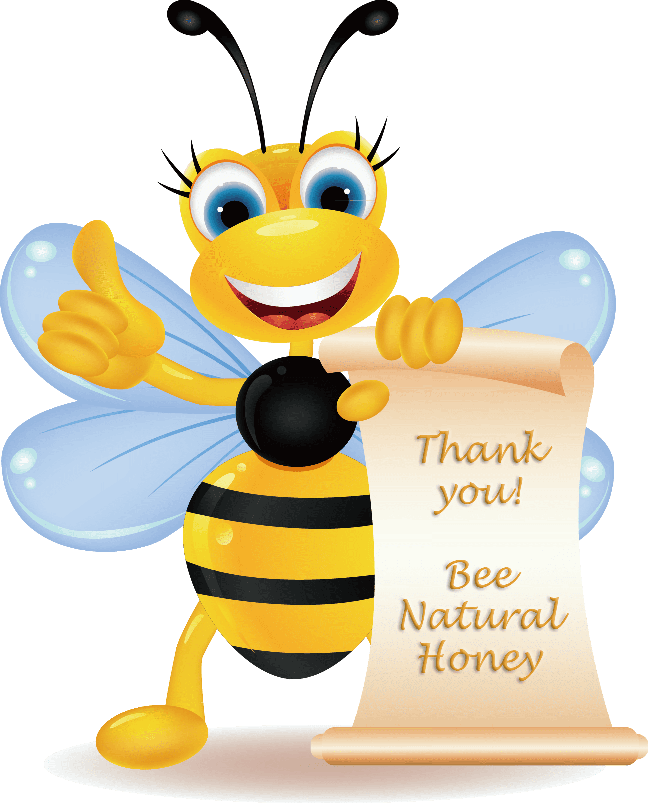 6 South Florida Wildflower Honey - 16 Ounces (6 Pack)