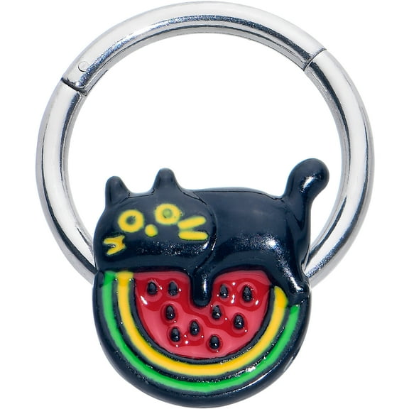 Body Candy 16G 316L Stainless Steel Hinged Segment Ring Seamless Cartilage Nipple Ring Watermelon Cat Love Nose Hoop 3/8"