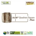 thumbnail image 2 of 10”Quadrato Square Dinner Plate|Bio Mart Leaf Plate|Natural, Eco-friendly, Re-usable, Backyard Compostable Biodegradable, Disposable supply |Theme Party, Wedding Plate | Pack of 10, 50 or 100, 2 of 4