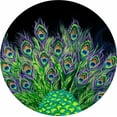 thumbnail image 1 of Tire Cover Central Peacock Tail Feathers Black Vinyl (Select Size/Camera in Menu)265/70R17, 1 of 4