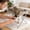 Brown, variant on Space-Saving Foldable Pet Sling Table Lightweight Pet Grooming Sling, Collapsible Dog Grooming Stand with Mesh Breathable for Dogs, Cats, Nail Trimming, Bathing